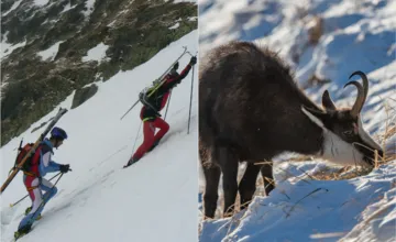 FOTO: Jar mení pravidlá v Tatrách. Skialpinisti končia... prebúdzajú sa medvede