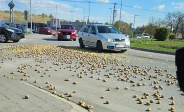 Gruľová brigáda na kruhovom objazde v Sabinove? Dávajte si pozor, na ceste sa povaľujú zemiaky