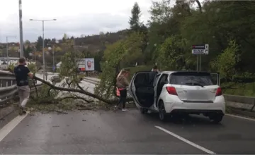 Meteorológovia varujú pred vetrom v Prešovskom kraji. Platí výstraha