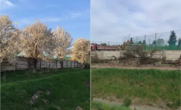 FOTO: Kvitnúce stromy v Ľuboticiach po pár dňoch zmizli. Obyvatelia to kritizujú, mesto malo dôvod