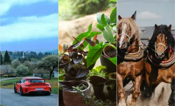 PREHĽAD: Prvý májový víkend prinesie do Prešovského kraja pestrý program. Na čo sa môžete počas predĺženého voľna tešiť?