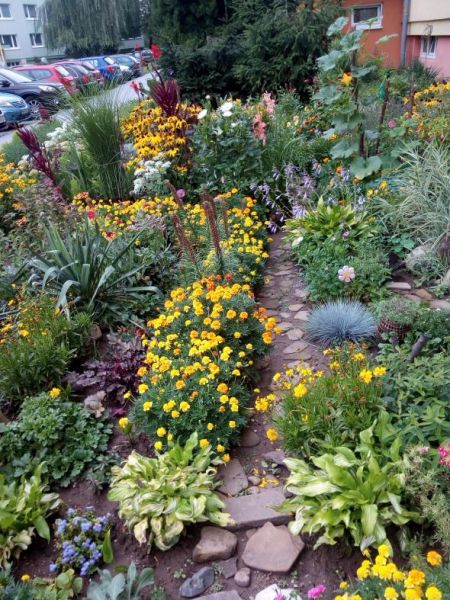 Súťaž o najkrajšiu predzáhradku, foto 4