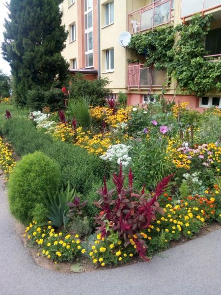 Súťaž o najkrajšiu predzáhradku, foto 5