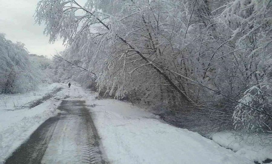 Víkendové sneženie na východe Slovenska, foto 1