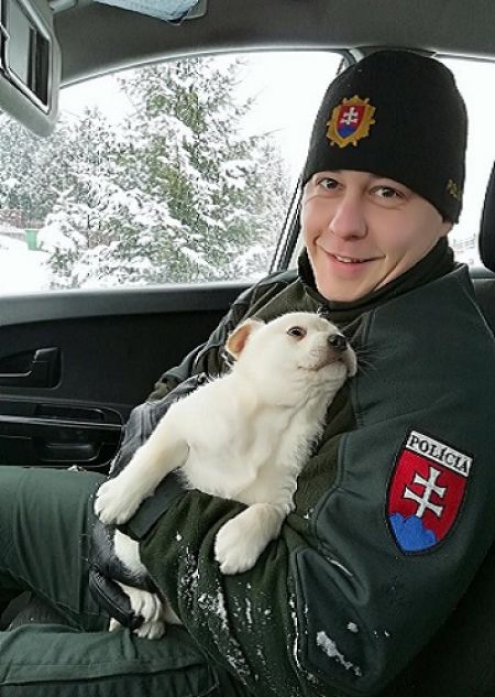 Premrznutý psík v Novej Ľubovni, foto 4