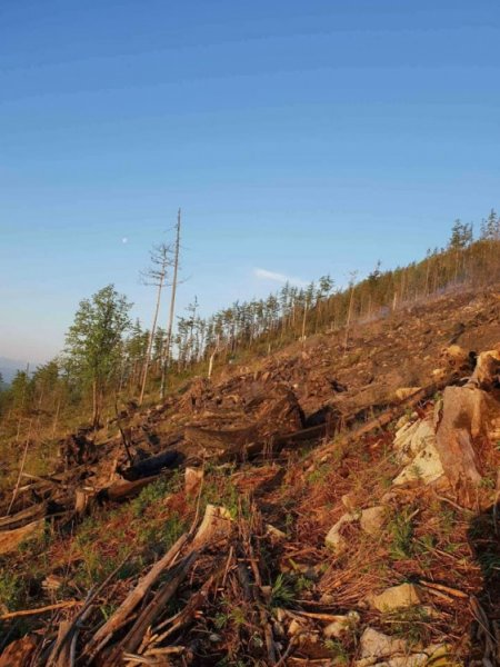 Rozsiahly požiar lesa vo Vysokých Tatrách, foto 3
