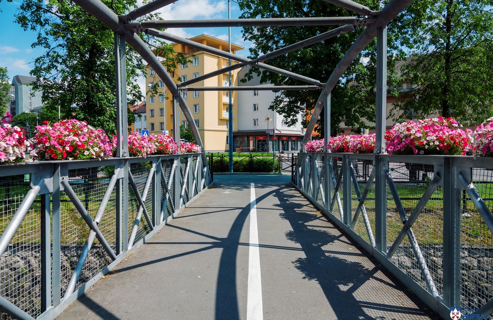 FOTO: V Poprade prebieha výsadba letničiek, foto 26