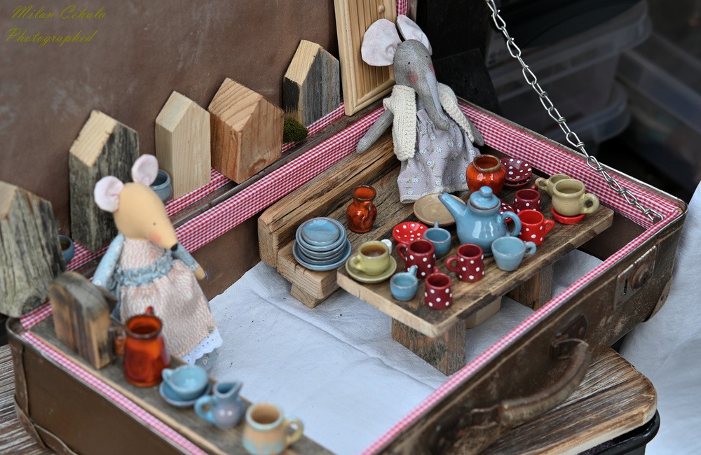 FOTO: V druhý júlový víkend sa v Kežmarku konal festoval EĽRO , foto 7