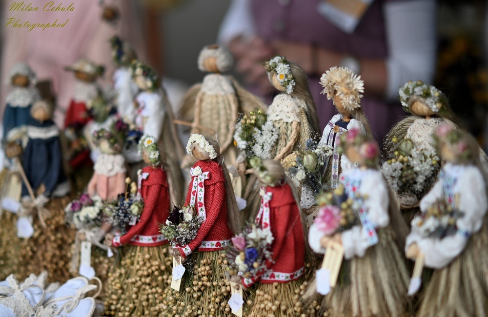 FOTO: V druhý júlový víkend sa v Kežmarku konal festoval EĽRO , foto 10