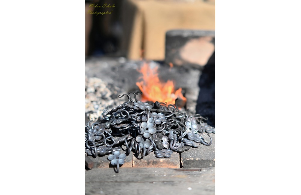 FOTO: V druhý júlový víkend sa v Kežmarku konal festoval EĽRO , foto 18