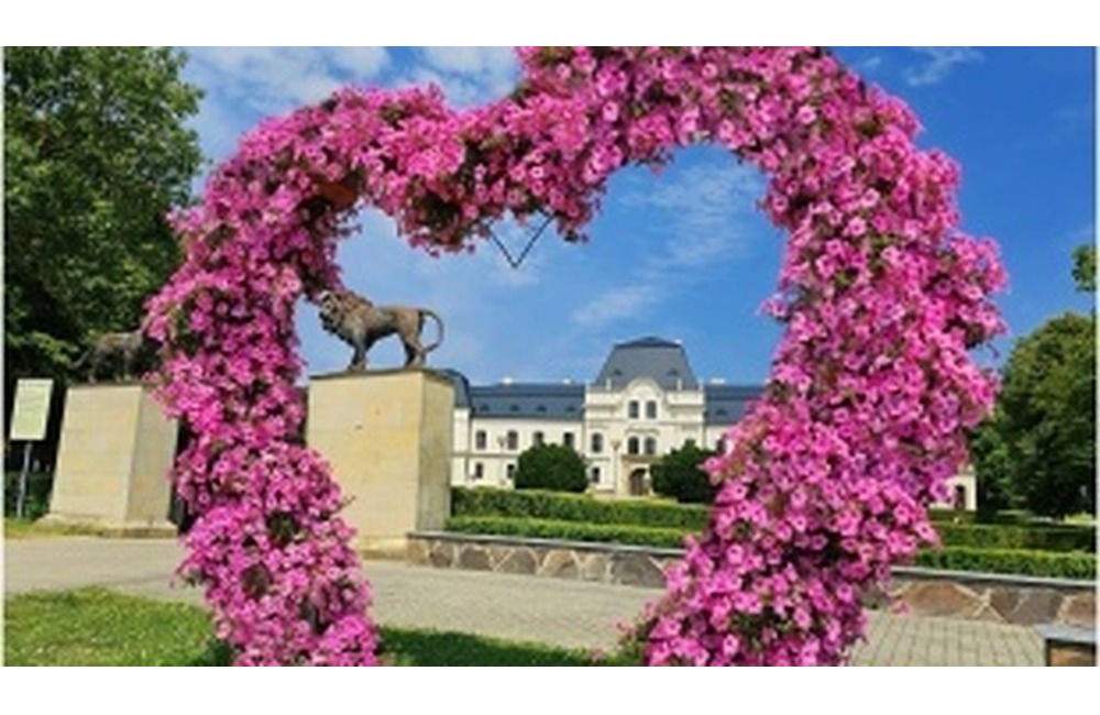 FOTO: Humenné zdobí letná kvetinová výzdoba, foto 1