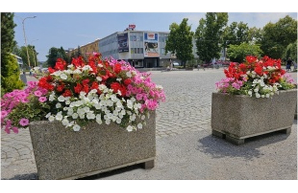 FOTO: Humenné zdobí letná kvetinová výzdoba, foto 2