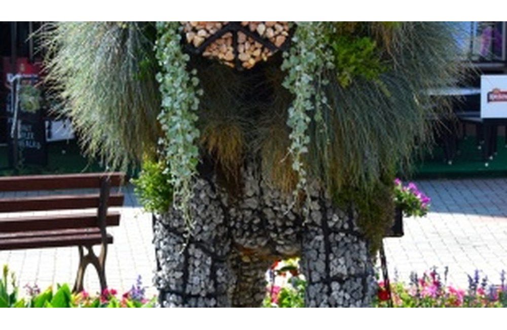 FOTO: Humenné zdobí letná kvetinová výzdoba, foto 3