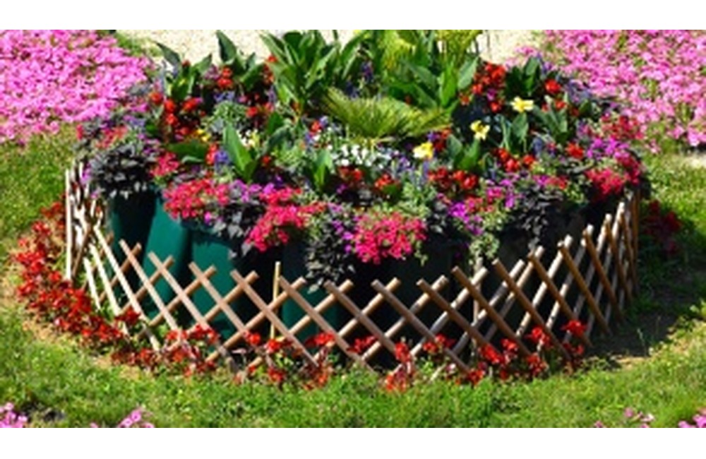 FOTO: Humenné zdobí letná kvetinová výzdoba, foto 4