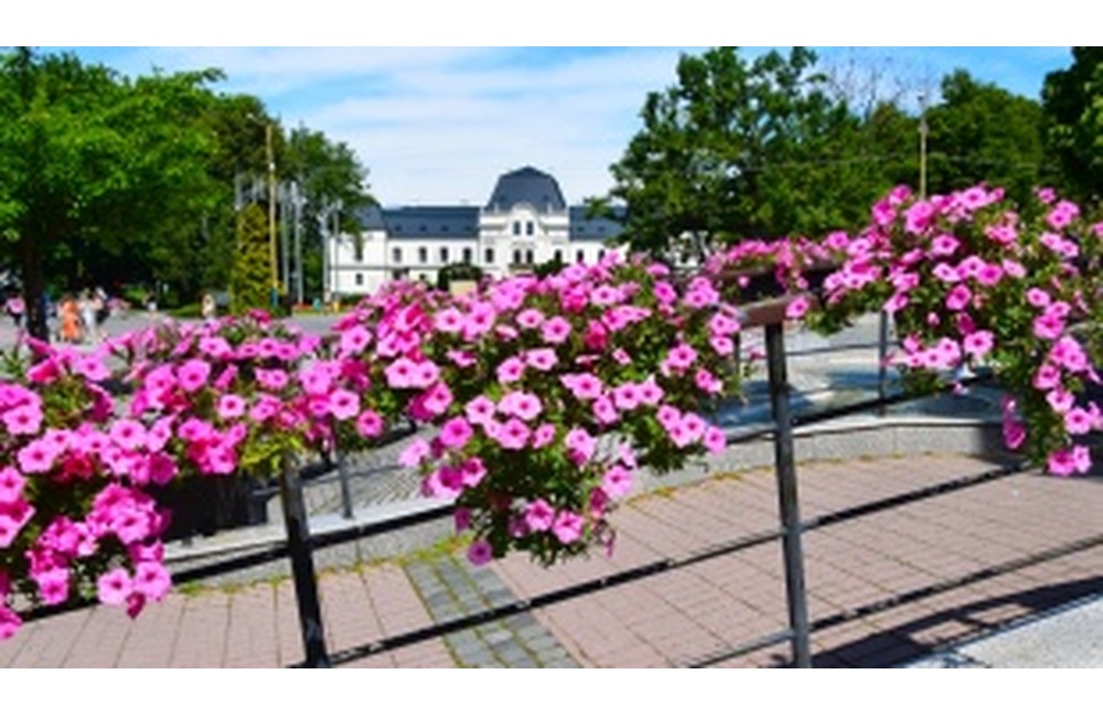 FOTO: Humenné zdobí letná kvetinová výzdoba, foto 8