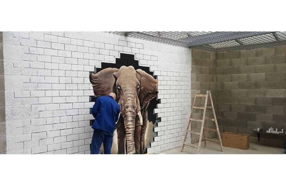 FOTO: Väzni v Prešove skrášlili pochmúrne železobetónové priestory, foto 3