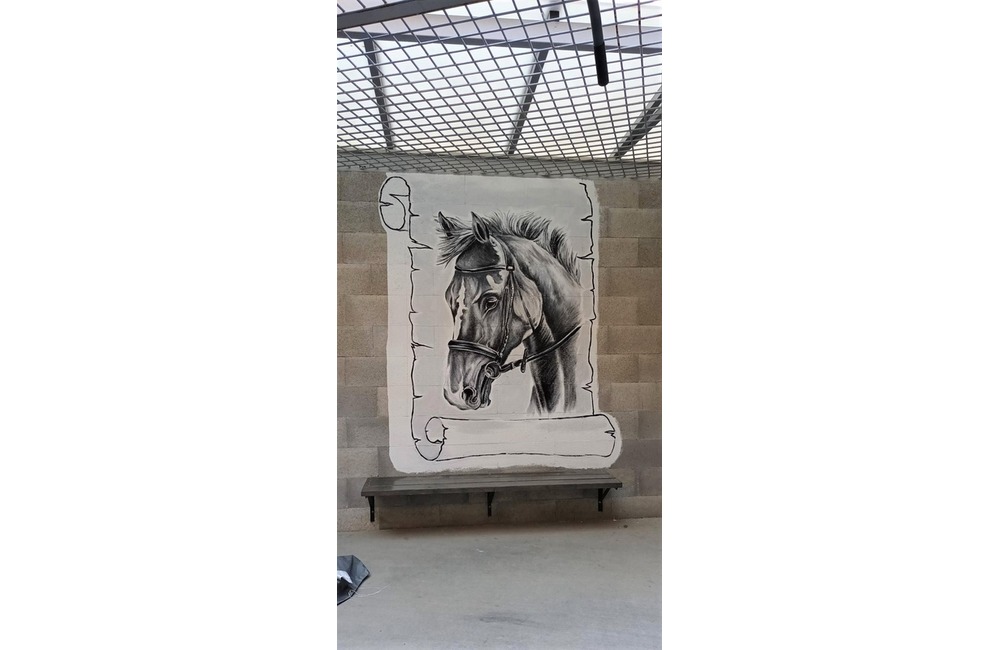 FOTO: Väzni v Prešove skrášlili pochmúrne železobetónové priestory, foto 6