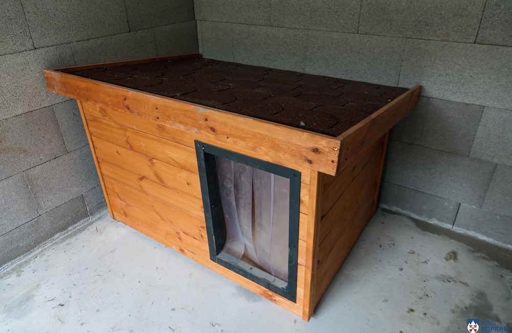 FOTO: O opustené psíky v Poprade bude lepšie postarané. Mestský útulok prešiel výraznou zmenou, foto 2