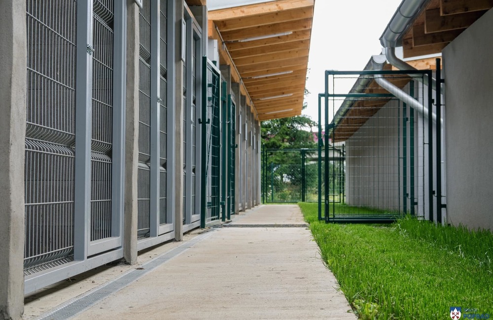 FOTO: O opustené psíky v Poprade bude lepšie postarané. Mestský útulok prešiel výraznou zmenou, foto 3