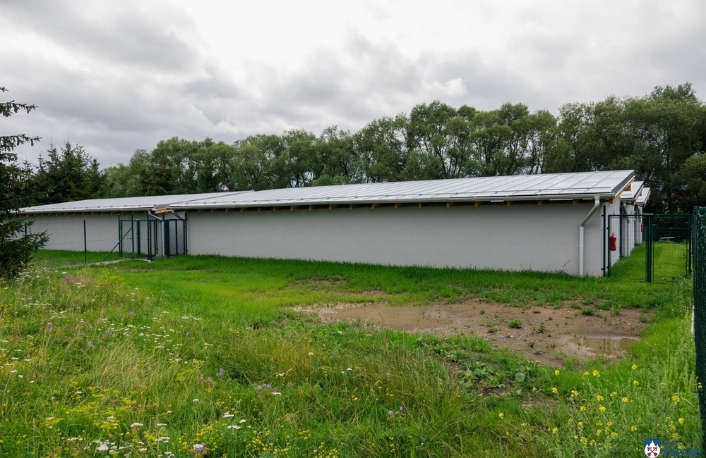 FOTO: O opustené psíky v Poprade bude lepšie postarané. Mestský útulok prešiel výraznou zmenou, foto 4