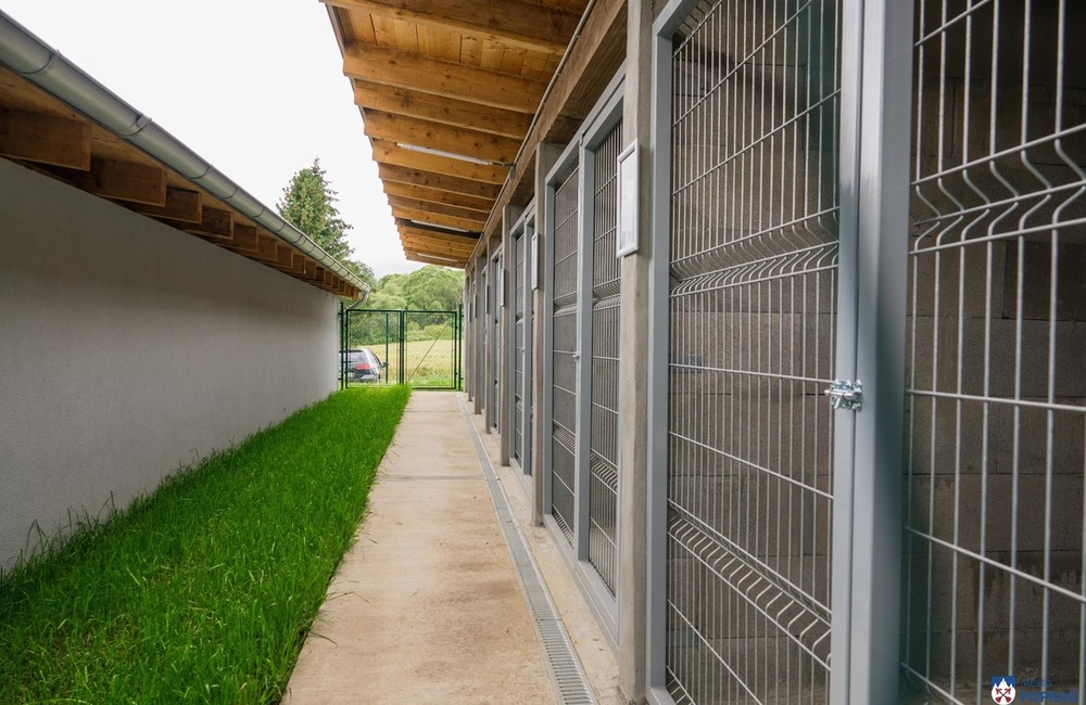 FOTO: O opustené psíky v Poprade bude lepšie postarané. Mestský útulok prešiel výraznou zmenou, foto 7