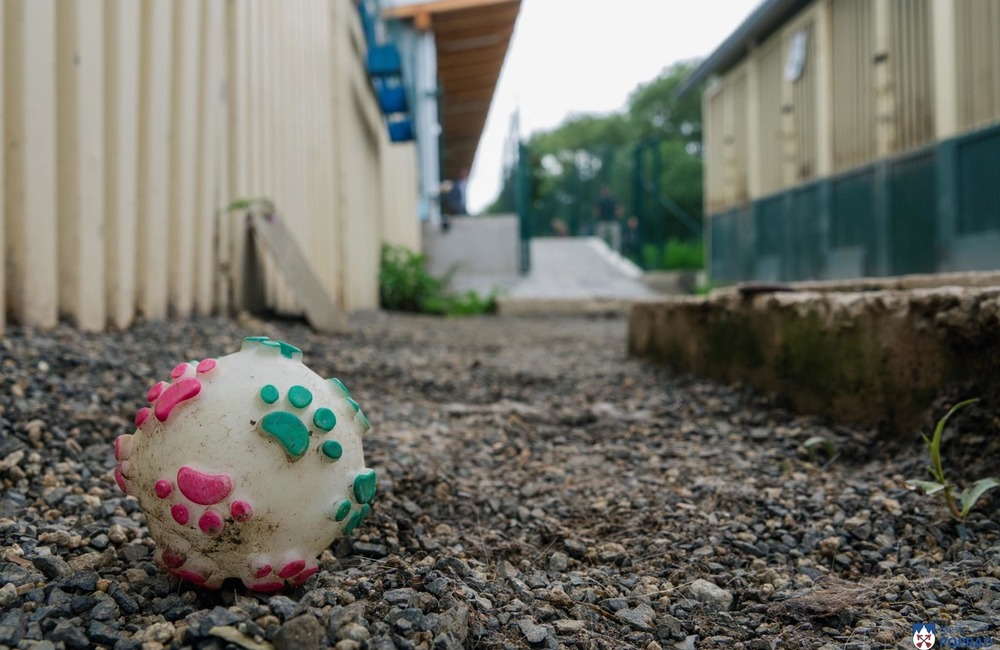 FOTO: O opustené psíky v Poprade bude lepšie postarané. Mestský útulok prešiel výraznou zmenou, foto 9