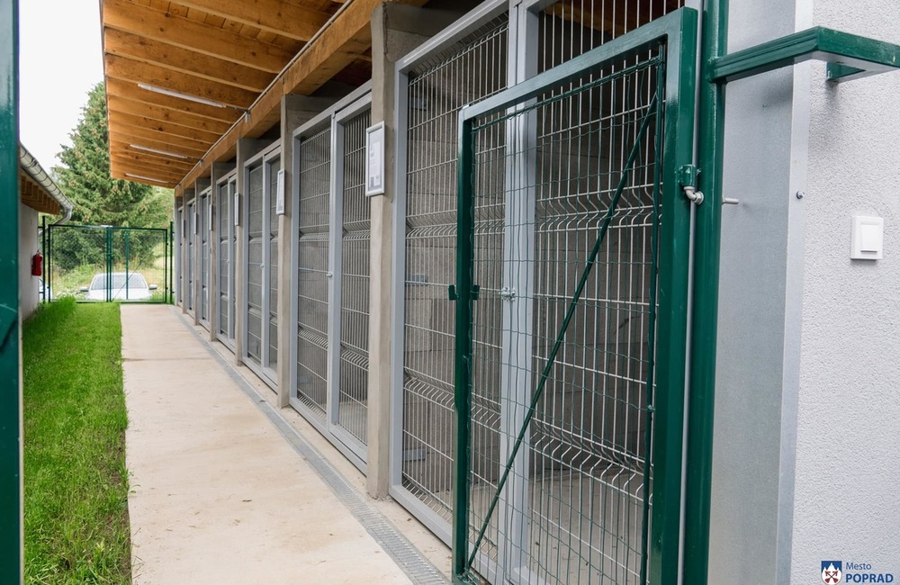 FOTO: O opustené psíky v Poprade bude lepšie postarané. Mestský útulok prešiel výraznou zmenou, foto 10