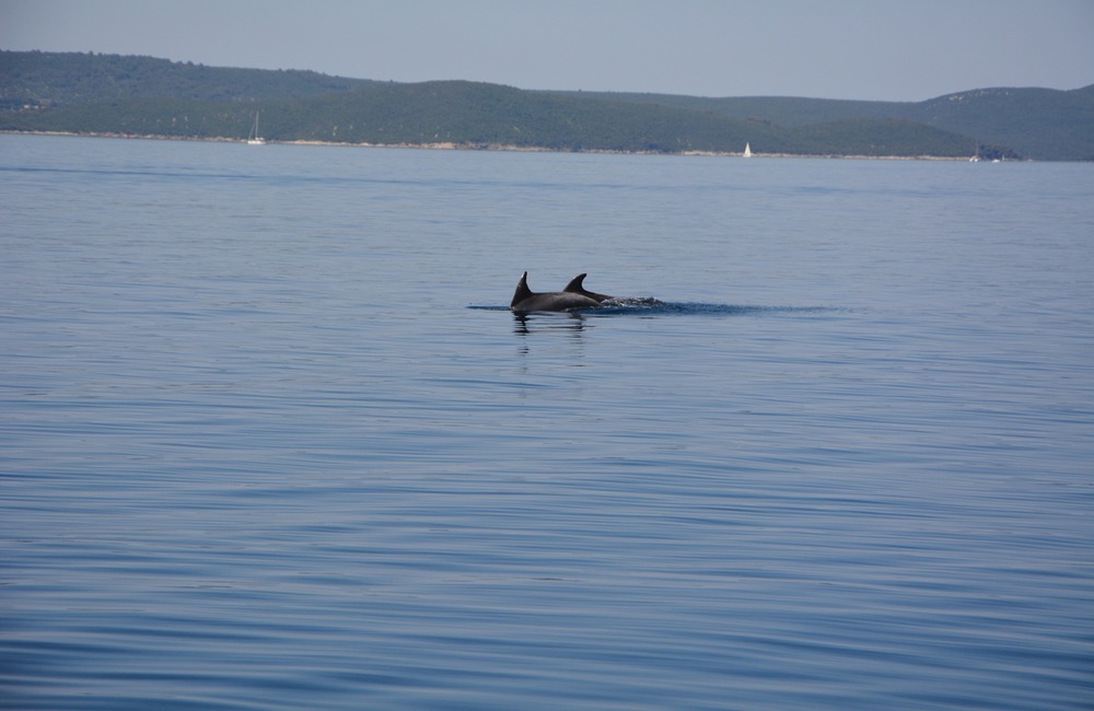 FOTO: Slováci na jachte v Chorvátsku, foto 2