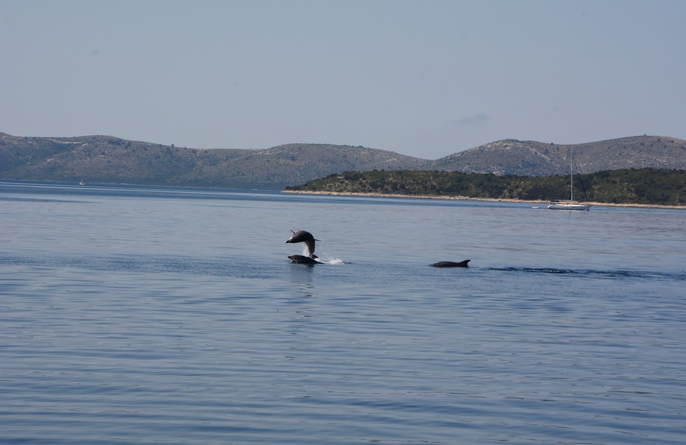 FOTO: Slováci na jachte v Chorvátsku, foto 4