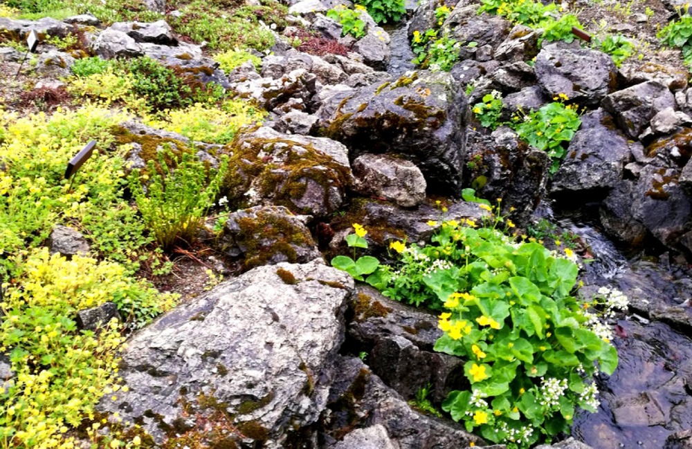 FOTO: Tipy na výlety v Prešovskom kraji, foto 6