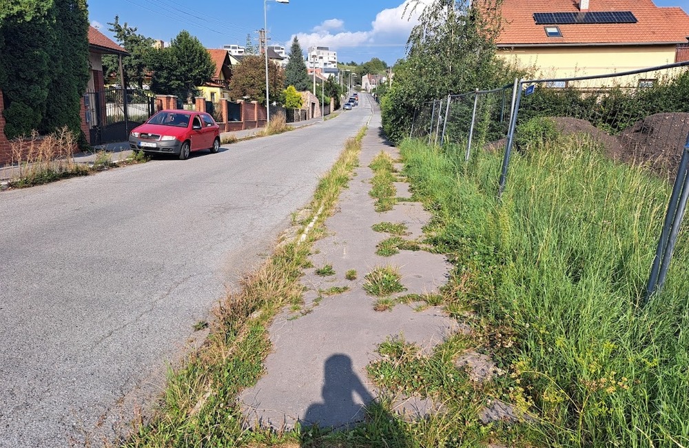 FOTO: Prešovské chodníky sú zarastené a zasahujú do nich konáre. Mesto tvrdí, že pracuje na ich odstraňovaní, foto 2