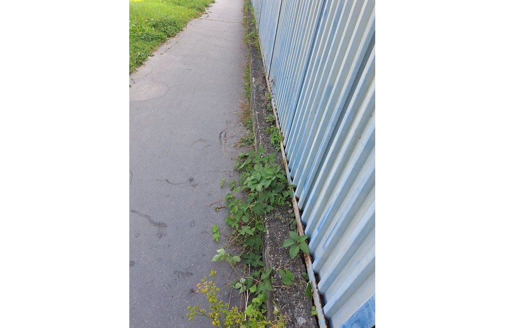 FOTO: Prešovské chodníky sú zarastené a zasahujú do nich konáre. Mesto tvrdí, že pracuje na ich odstraňovaní, foto 3