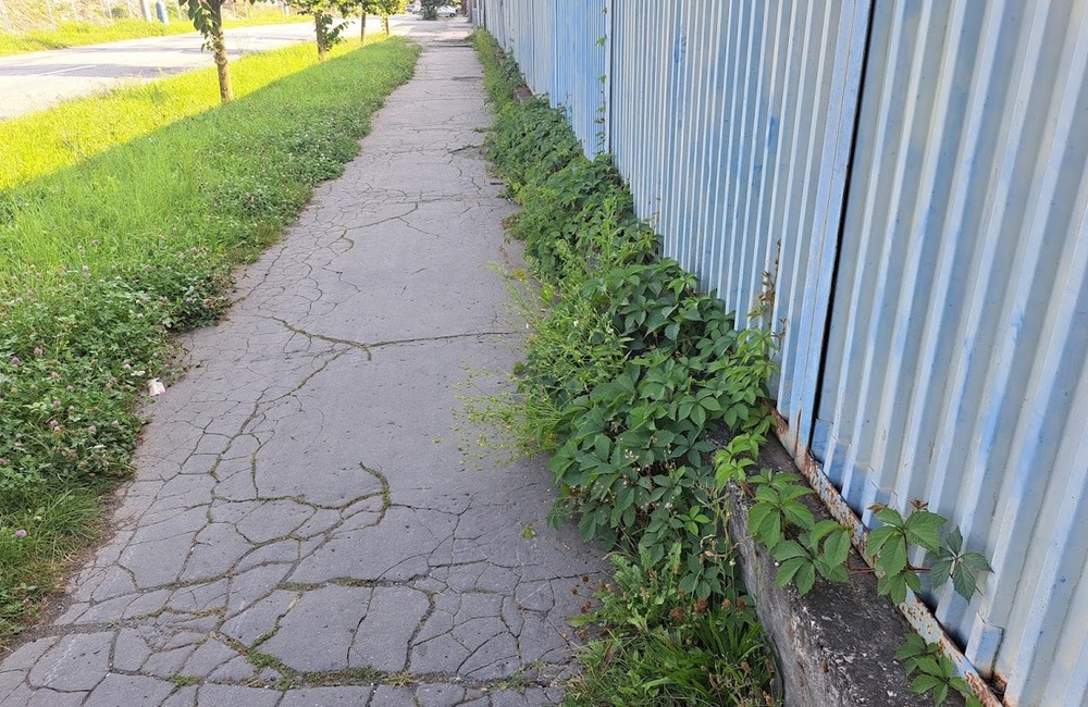 FOTO: Prešovské chodníky sú zarastené a zasahujú do nich konáre. Mesto tvrdí, že pracuje na ich odstraňovaní, foto 4