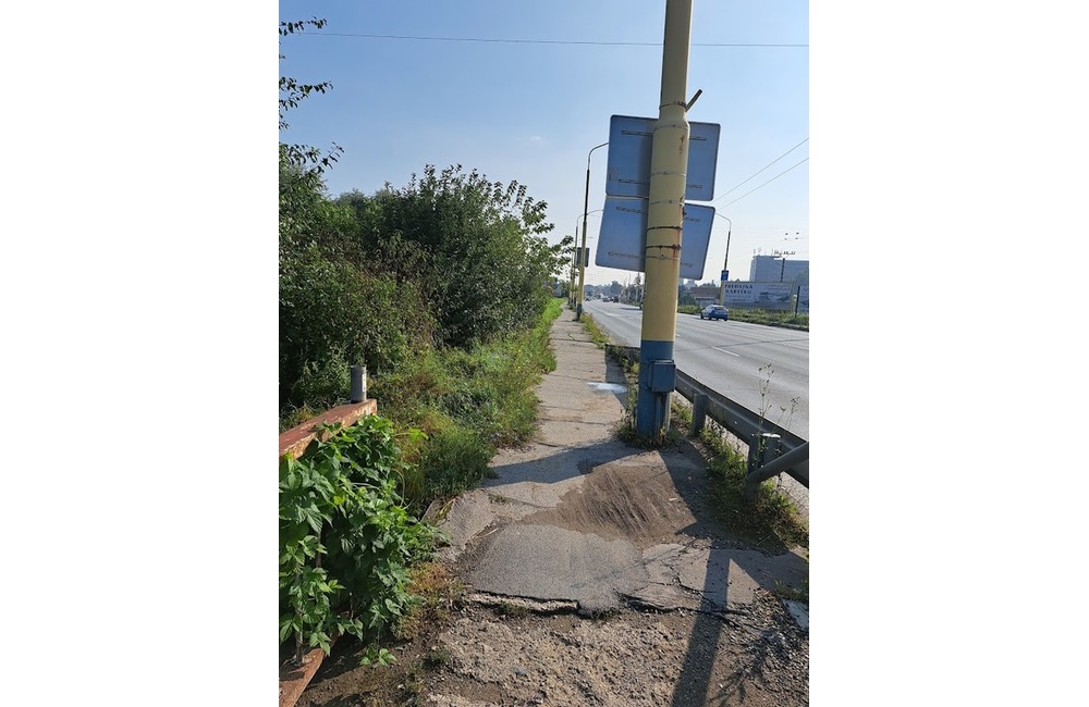 FOTO: Prešovské chodníky sú zarastené a zasahujú do nich konáre. Mesto tvrdí, že pracuje na ich odstraňovaní, foto 5