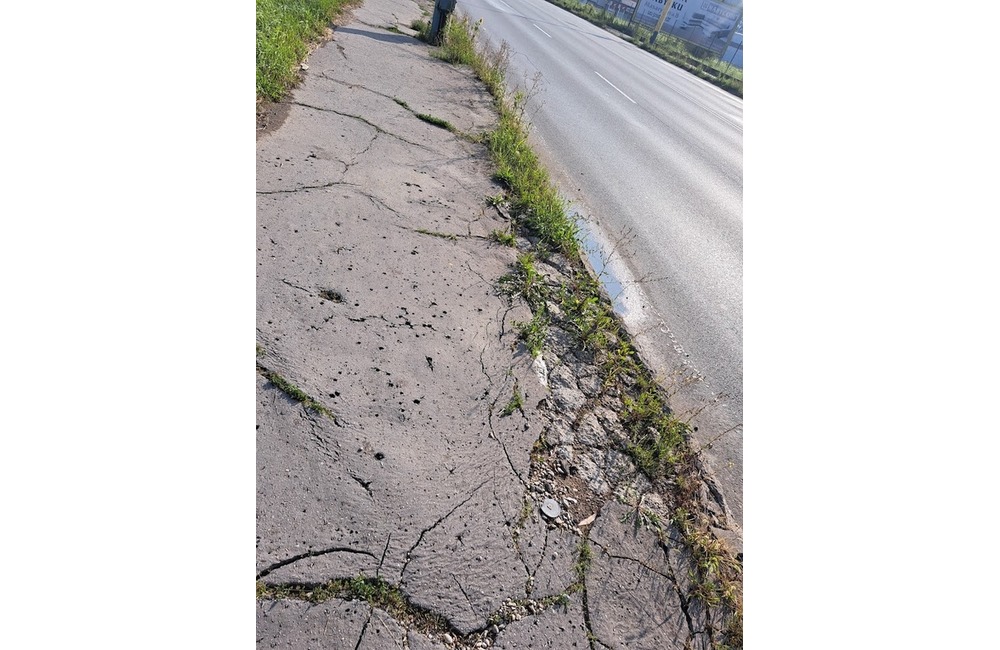 FOTO: Prešovské chodníky sú zarastené a zasahujú do nich konáre. Mesto tvrdí, že pracuje na ich odstraňovaní, foto 6