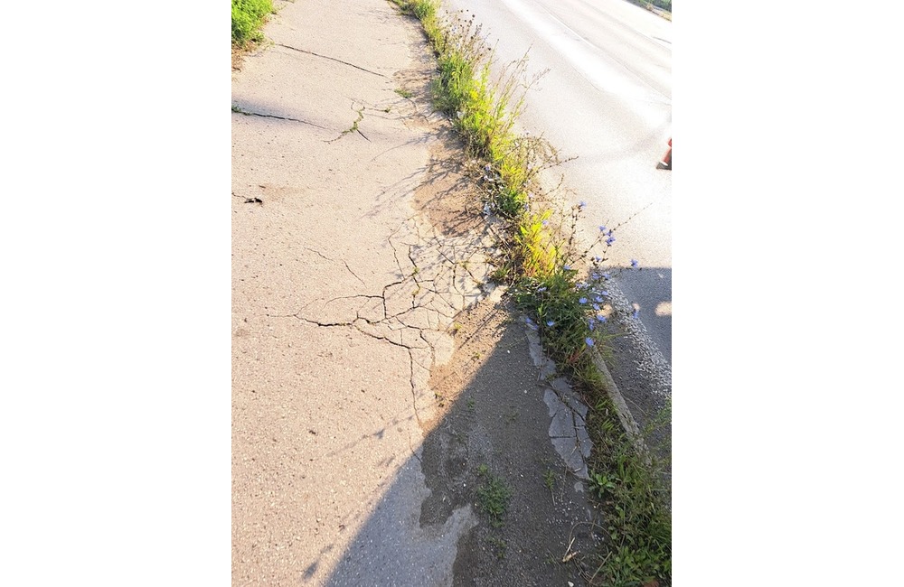 FOTO: Prešovské chodníky sú zarastené a zasahujú do nich konáre. Mesto tvrdí, že pracuje na ich odstraňovaní, foto 7