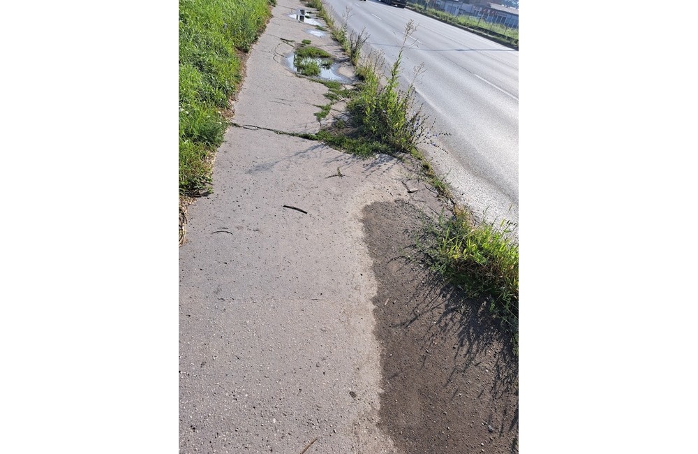 FOTO: Prešovské chodníky sú zarastené a zasahujú do nich konáre. Mesto tvrdí, že pracuje na ich odstraňovaní, foto 8