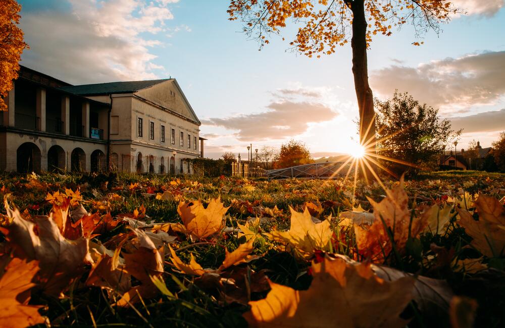 FOTO: Vyberte, ktorá jesenná snímka by sa mala stať našou titulnou fotkou na Facebooku, foto 1