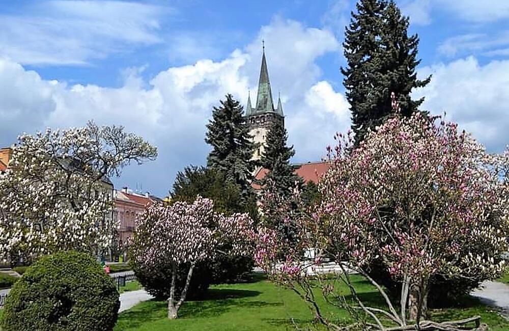 FOTO: Vyberte, ktorá jesenná snímka by sa mala stať našou titulnou fotkou na Facebooku, foto 6