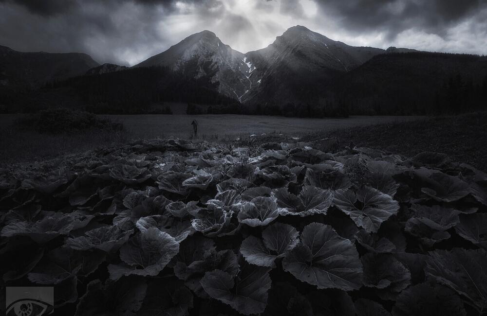 FOTO: Víťazné fotografie Choď a foť 2023, foto 14