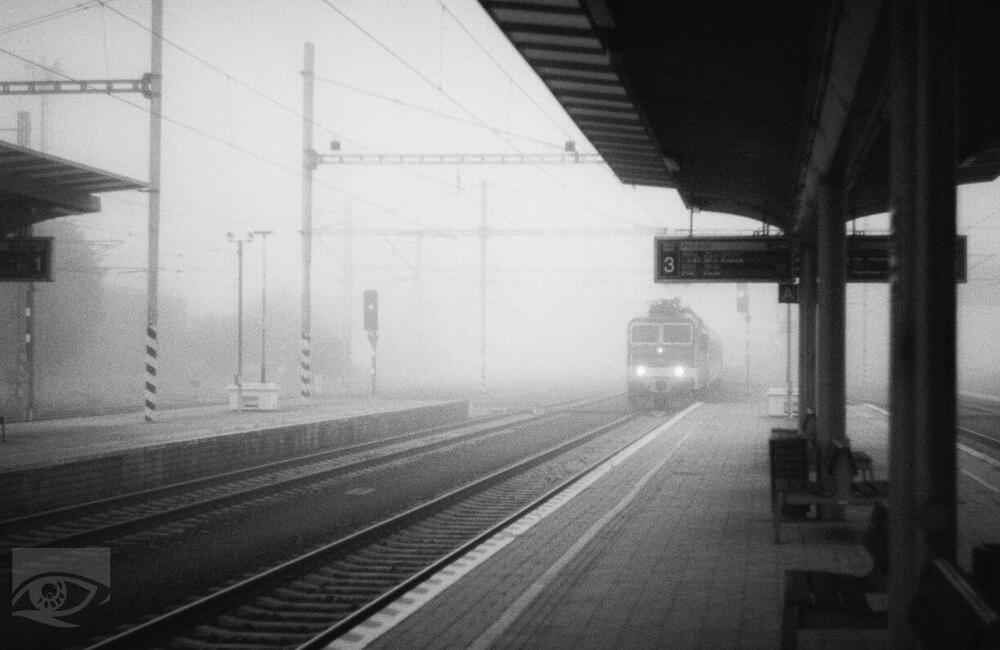 FOTO: Víťazné fotografie Choď a foť 2023, foto 25