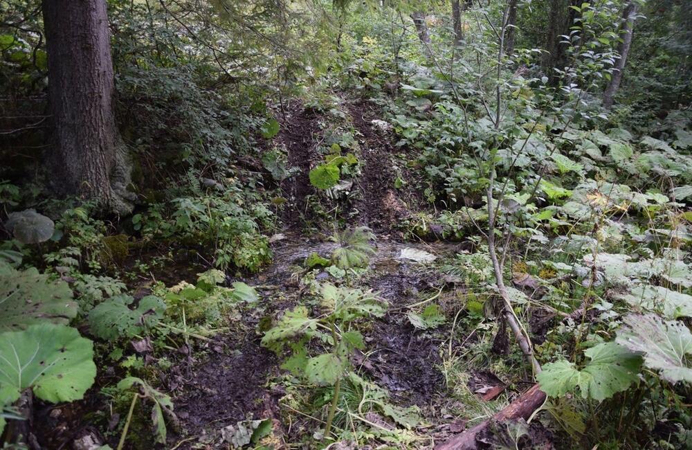 FOTO:  Muž z Brehov mal bez povolenia jazdiť štvorkolkou po území s tretím stupňom ochrany, foto 1