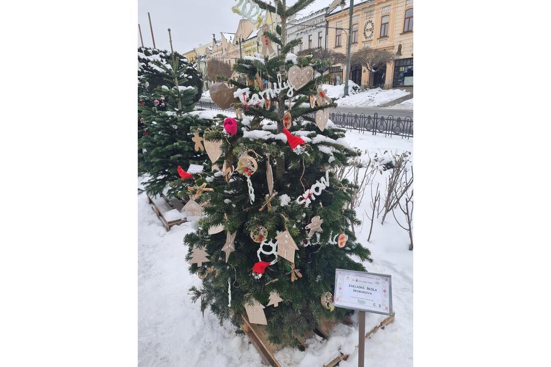 FOTO: Južný park zdobí 12 vianočných jedličiek od prešovských škôl, foto 1