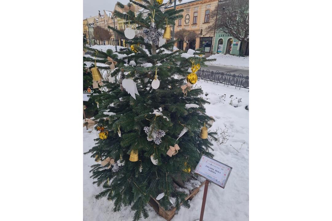 FOTO: Južný park zdobí 12 vianočných jedličiek od prešovských škôl, foto 2