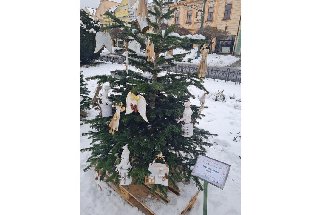 FOTO: Južný park zdobí 12 vianočných jedličiek od prešovských škôl, foto 5