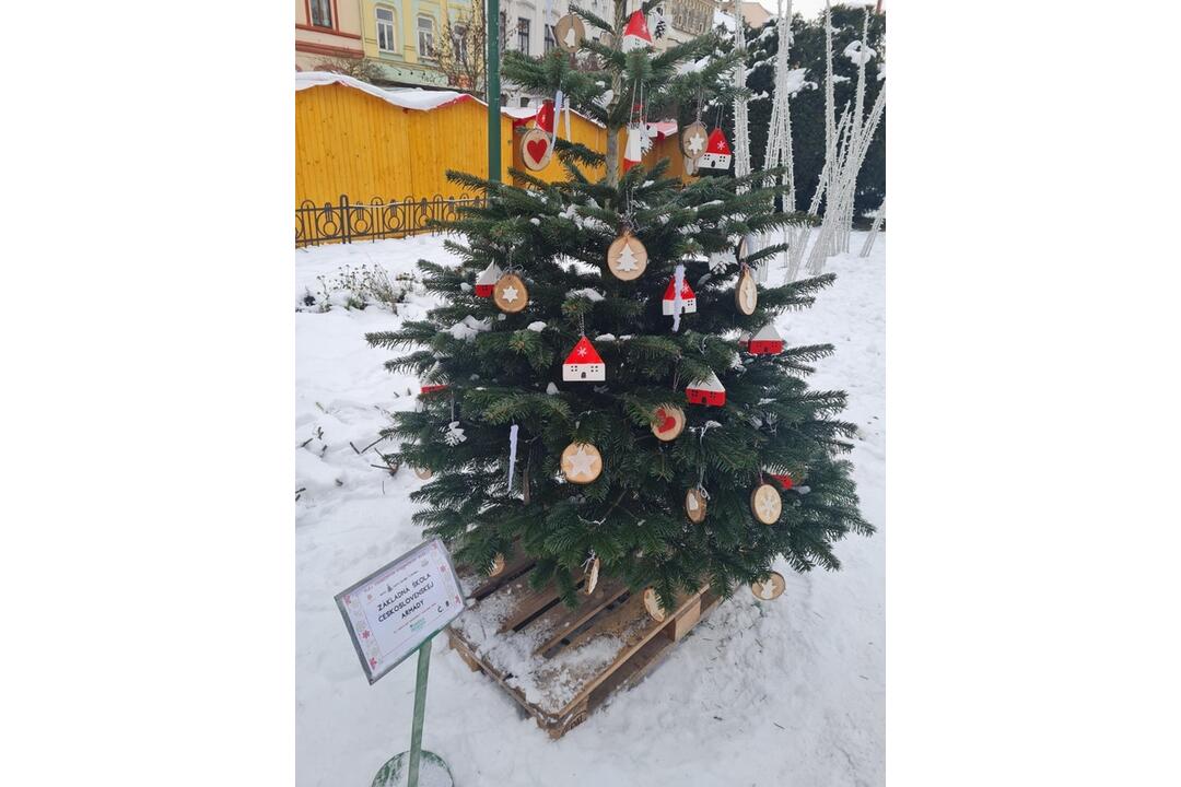 FOTO: Južný park zdobí 12 vianočných jedličiek od prešovských škôl, foto 6
