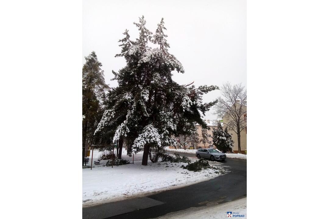 FOTO: Vplyvom počasia popadali v Poprade konáre aj strom, foto 2