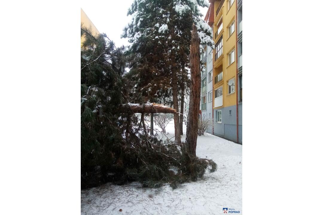 FOTO: Vplyvom počasia popadali v Poprade konáre aj strom, foto 3
