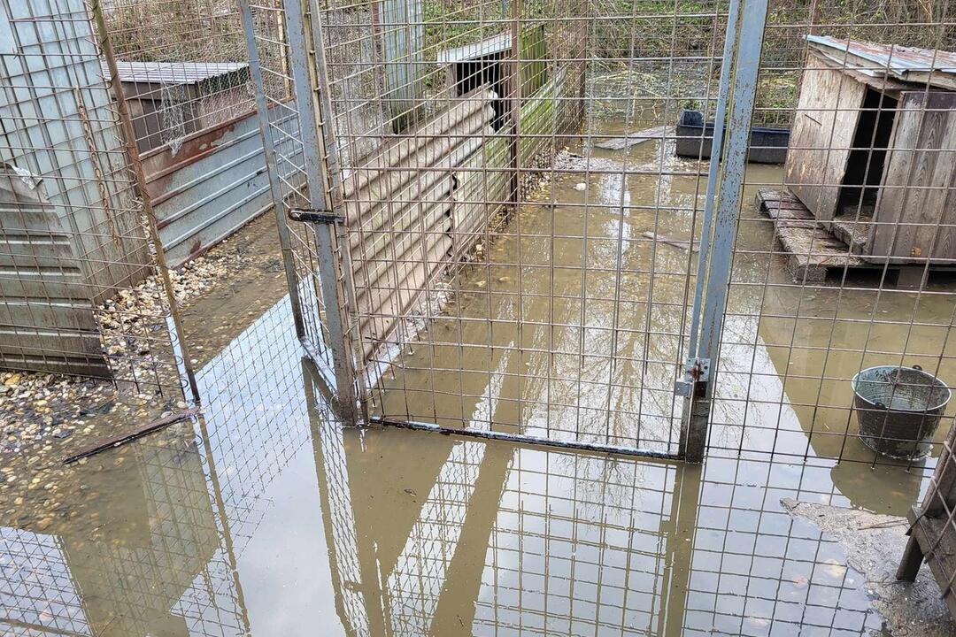 FOTO: Viac ako 250 psíkov v kotercoch na východe Slovenska zaplavila voda, foto 2