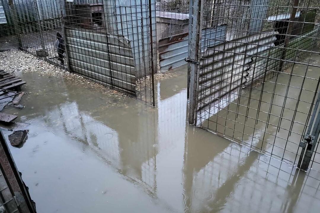 FOTO: Viac ako 250 psíkov v kotercoch na východe Slovenska zaplavila voda, foto 5